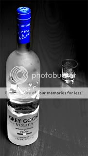 Black goose Pictures, Images and Photos