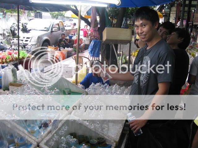 Comercializacion de Peces Ornamentales en el Mundo Comercializacion de Peces Ornamentales en el Mundo