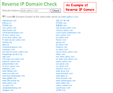 reverse ip domain check example