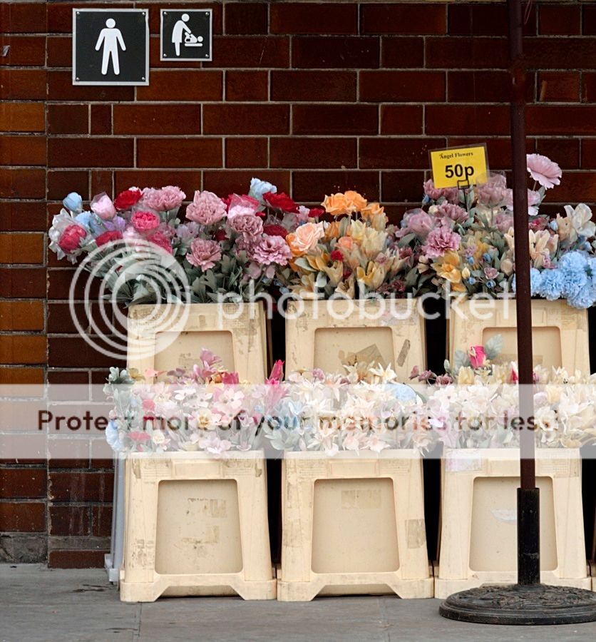  photo 2_DSD1701_zpssbvihk4r.jpg