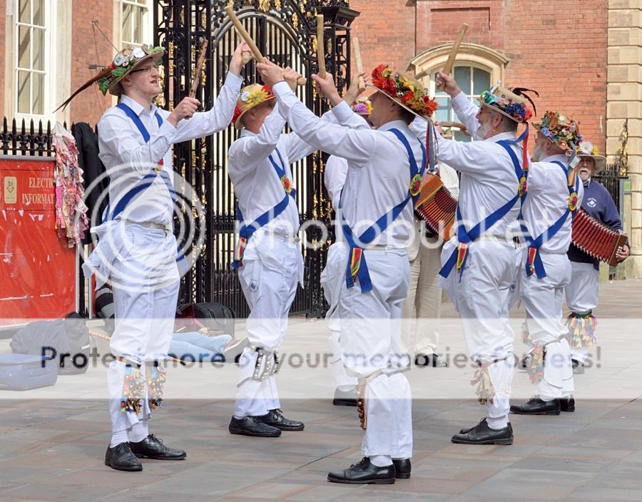  photo 3_DSD1716_zpsigrhffbi.jpg