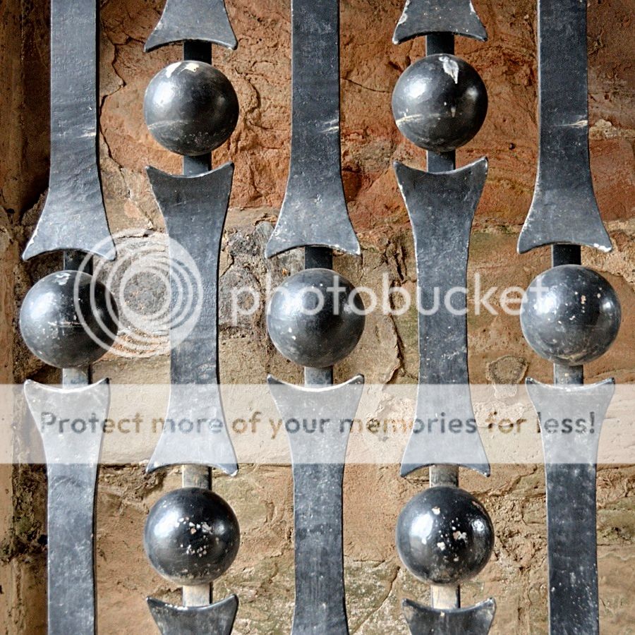  photo 6_DSD1731_zpsrz8xf9ke.jpg