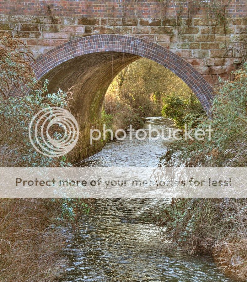  photo 8_DSD0081_2_3_zpsjtk10far.jpg