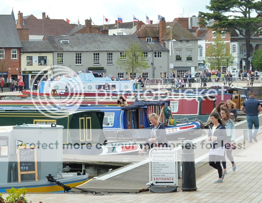 photo A-P1020798_zpsog15a4nb.jpg