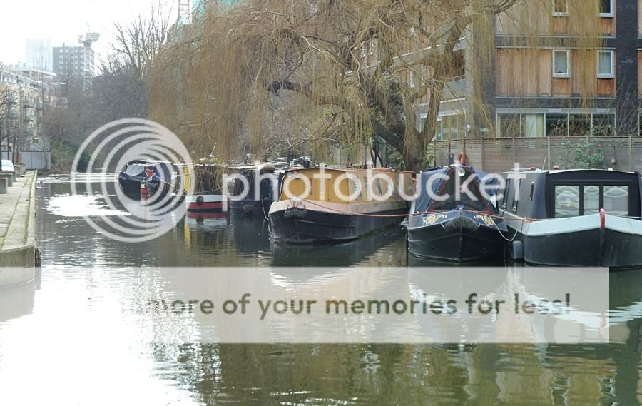  photo D3 P1020622_zpsxym0fbdt.jpg