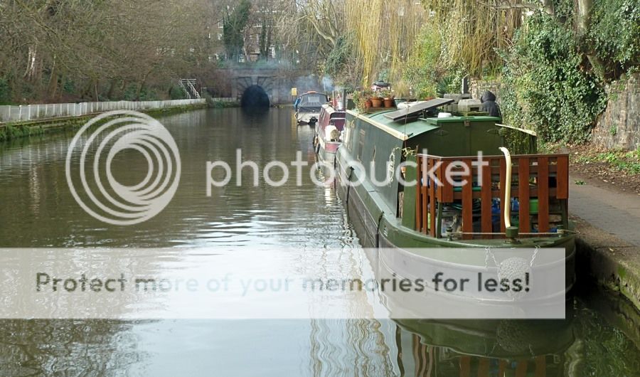  photo D5 P1020629_zpsusqqroyt.jpg