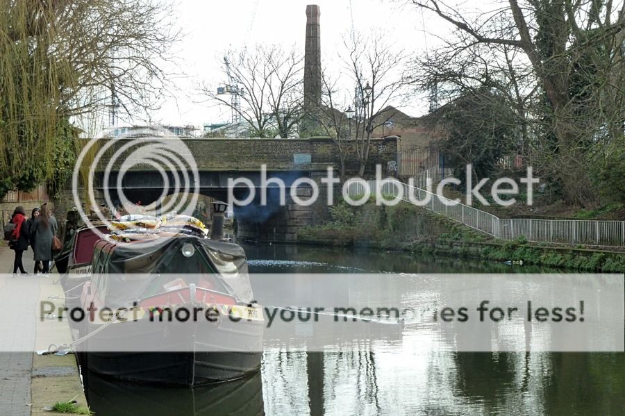  photo D6 P1020617_zpsloowtpkr.jpg