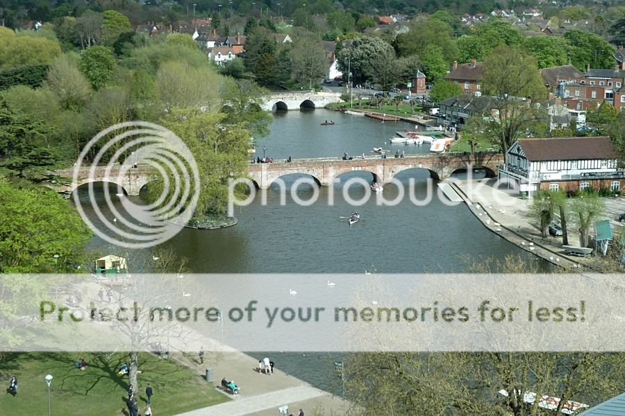 photo I-P1020782_zpsvqotnvfr.jpg