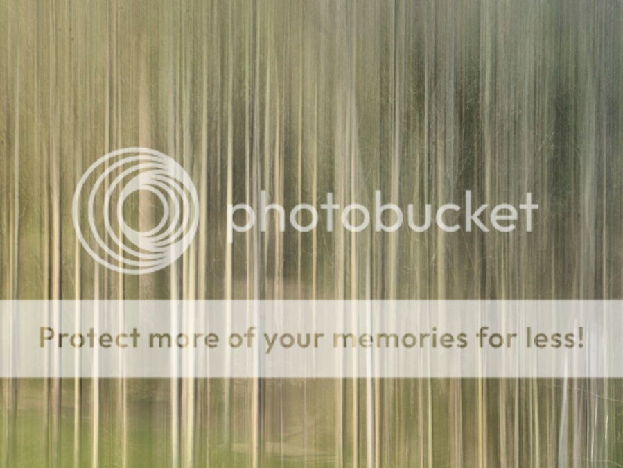  photo _DSD0310_zpsw13silw8.jpg