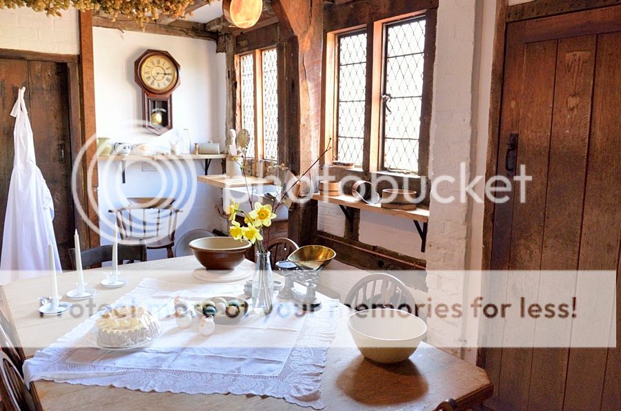  photo _DSD0342_zpssalgf6jd.jpg