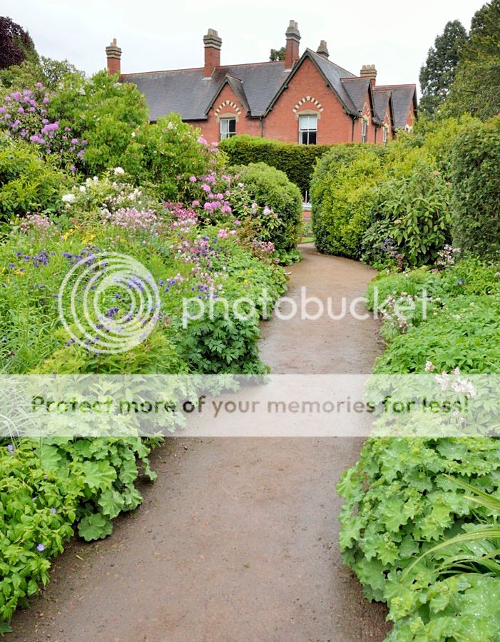  photo _DSD2102_zpsj89zwnex.jpg