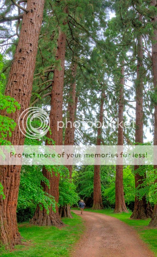  photo _DSD2137_8_9_zps4ri2j91n.jpg