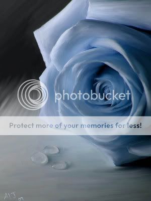 ROSAS Pictures, Images and Photos