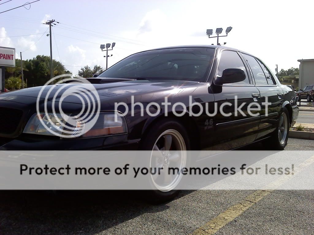 hood scoop Body and Interior